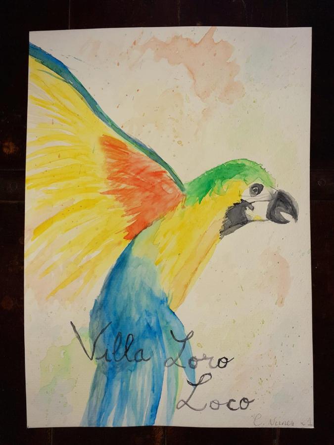 Casa Loro Loco B&B Pedralba 外观 照片